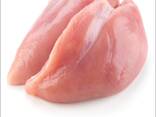 Wholesale Halal Frozen Chicken Breast / Skinless Boneless Chicken Breast Fillets - фото 3