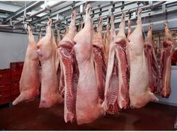 Wholesale Supply Of pork Meat From Spain