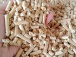 EN plus Wood Pellets A1 - photo 1